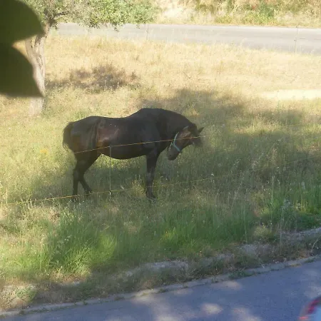 Vakantieboerderij Trivilini *