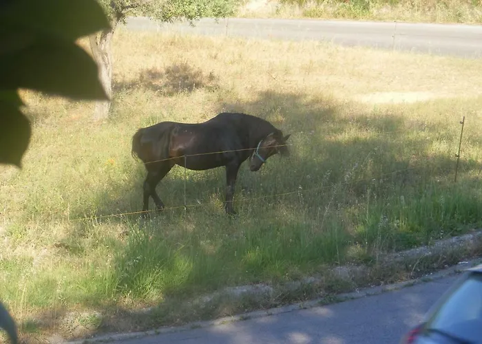 Κατάλυμα σε φάρμα Trivilini *